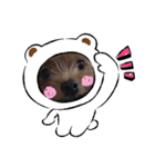 犬のてっちゃんのスタンプ（個別スタンプ：8）