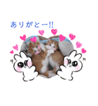 うめにゃん☆くりにゃん☆2（個別スタンプ：6）