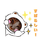 うめにゃん☆くりにゃん☆2（個別スタンプ：8）