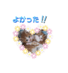 うめにゃん☆くりにゃん☆2（個別スタンプ：22）