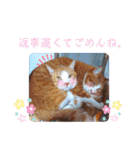 うめにゃん☆くりにゃん☆2（個別スタンプ：29）