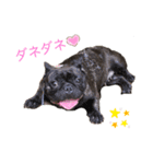 うちの癒やしペットたち（個別スタンプ：2）