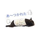 うちの癒やしペットたち（個別スタンプ：3）