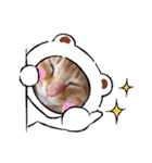 ちゃー＆そら（個別スタンプ：2）