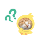ちゃー＆そら（個別スタンプ：3）