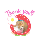 ちゃー＆そら（個別スタンプ：5）