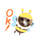 ちゃー＆そら（個別スタンプ：6）