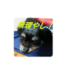 ぱっぺちゃん！（個別スタンプ：5）
