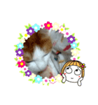 ねこあんど、ねこ（個別スタンプ：5）