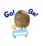 ねこあんど、ねこ（個別スタンプ：6）