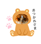 猫のかなこさん〜Talking〜（個別スタンプ：1）