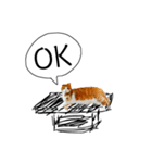 猫のかなこさん〜Talking〜（個別スタンプ：6）