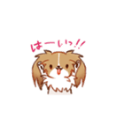 おすましパピヨンあずちゃん（個別スタンプ：10）