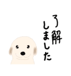 ほっこりリアル犬 ゴールデンレトリバー（個別スタンプ：4）