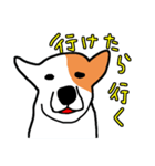 返答が10択な動物40（お家の動物編）（個別スタンプ：22）