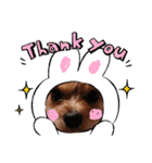 犬のりんと君（個別スタンプ：6）