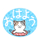 癒しねこ【デカ文字】（個別スタンプ：1）