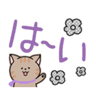 癒しねこ【デカ文字】（個別スタンプ：5）