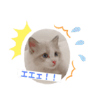 ぴえんメル（個別スタンプ：4）