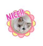 ぴえんメル（個別スタンプ：12）