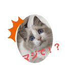 ぴえんメル（個別スタンプ：13）