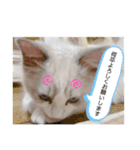ぴえんメル（個別スタンプ：14）
