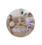 ぴえんメル（個別スタンプ：17）