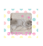 ぴえんメル（個別スタンプ：22）