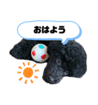 ぽむの日常（個別スタンプ：13）