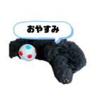 ぽむの日常（個別スタンプ：14）