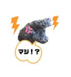 ぽむの日常（個別スタンプ：17）