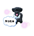 ぽむの日常（個別スタンプ：23）