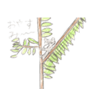 お子たち(H＆S)（個別スタンプ：3）