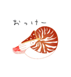 うみのいきもの いろいろ 1（個別スタンプ：8）