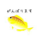 うみのいきもの いろいろ 1（個別スタンプ：28）