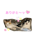 トラチワちゃん♪☆☆（個別スタンプ：6）