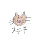 ゆうまの猫スタンプ（個別スタンプ：5）