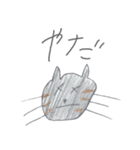 ゆうまの猫スタンプ（個別スタンプ：13）