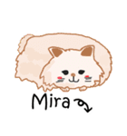 Meowing friends スペイン語 ver.（個別スタンプ：37）