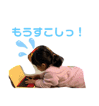 みなみゆスタンプ1（個別スタンプ：12）