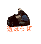 ＄＄（個別スタンプ：6）