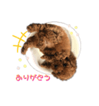 はっぴーーー.（個別スタンプ：2）