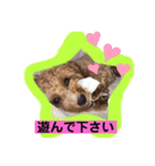 長崎弁をしゃべるわんこpart4（個別スタンプ：3）