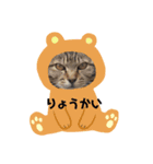 シル子としろみ01（個別スタンプ：1）