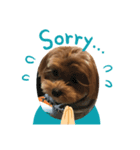犬とワニ（個別スタンプ：5）