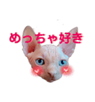 ぱぶっち。のスタンプ Part1（個別スタンプ：4）