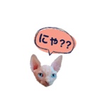 ぱぶっち。のスタンプ Part1（個別スタンプ：14）