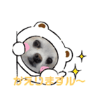 帰りま～うに（個別スタンプ：1）
