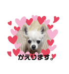 帰りま～うに（個別スタンプ：3）