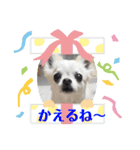 帰りま～うに（個別スタンプ：4）
